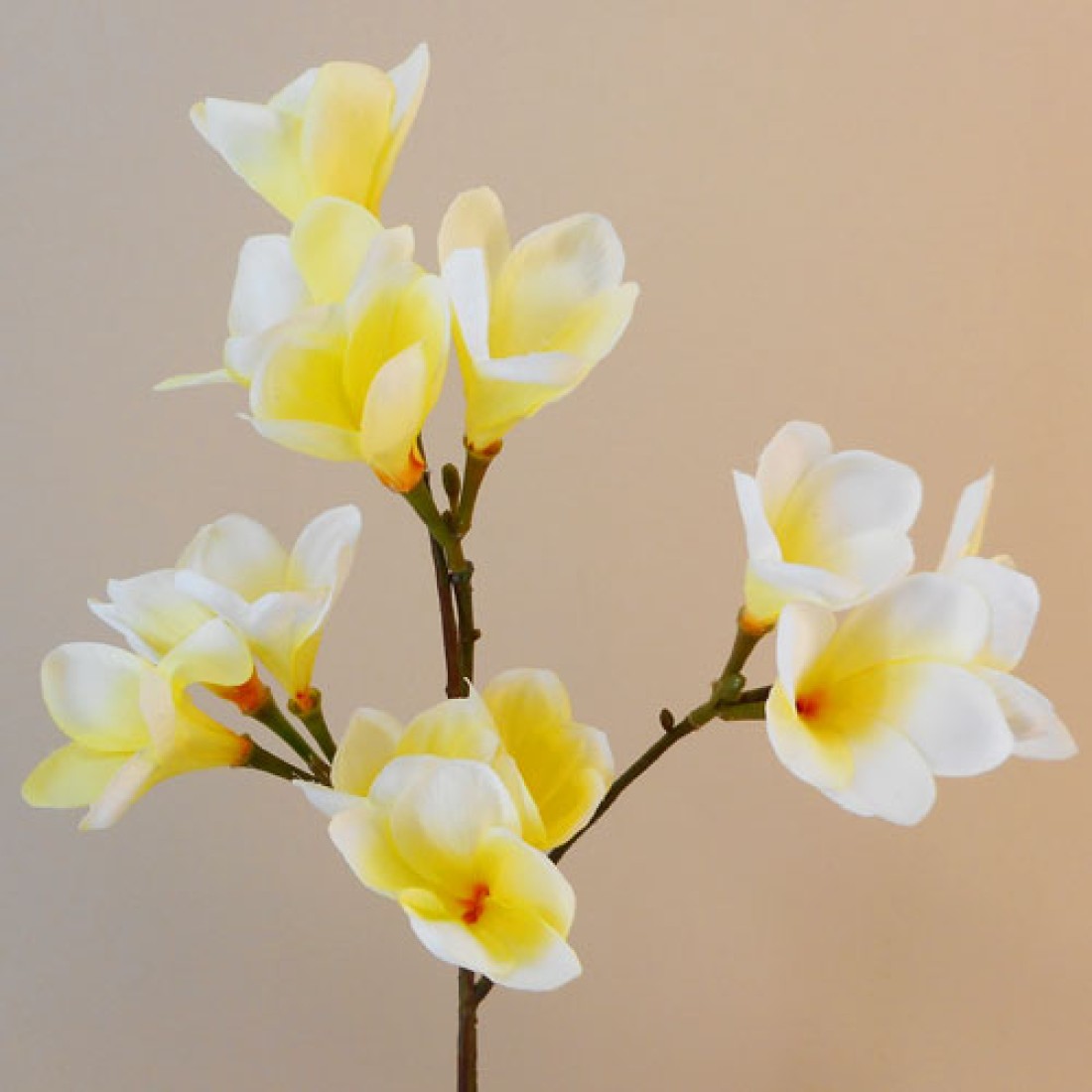Artificial Frangipani Lemon 65cm Artificial Flowers
